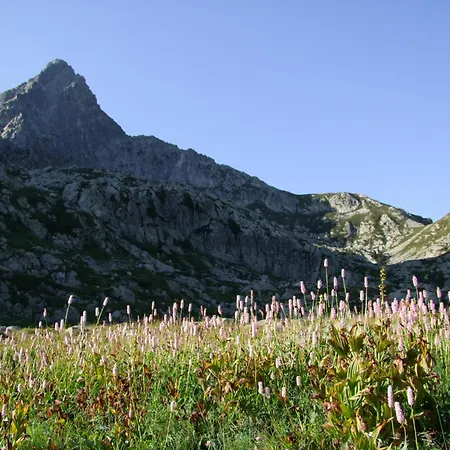 Hotel Nazionale 3*
