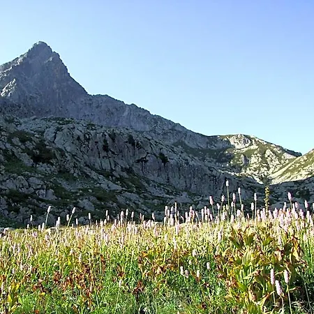 Nazionale Di Hotel 3*